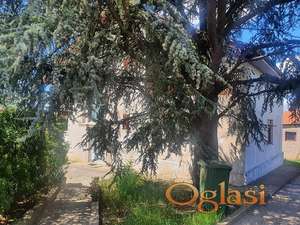 PORODIČNA KUĆA 320m2, na 19 ari placa, Beograd, Voždovac, Pinosava